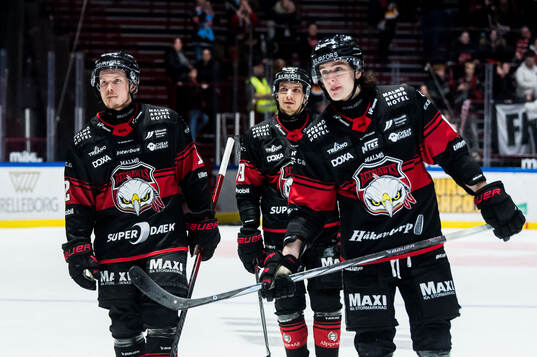 Malmö Redhawks spelare deppar