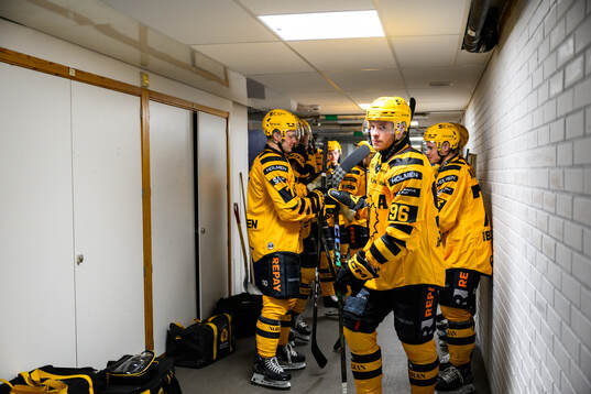Skellefteås Rickard Hugg