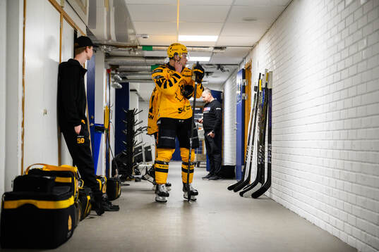 Skellefteås spelare