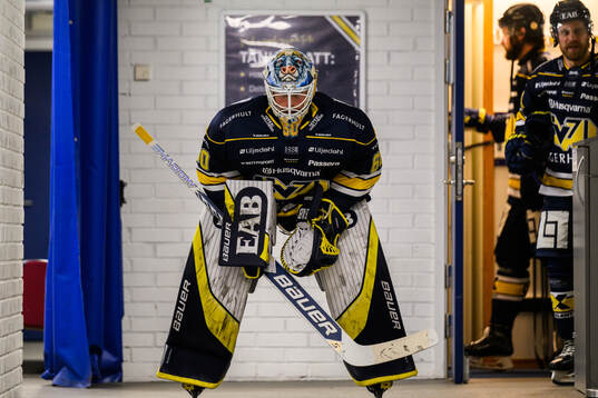 HV71s målvakt Hugo Alnefelt