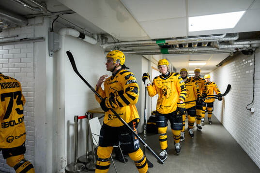 Skellefteås Frans Haara