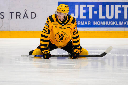 Skellefteås Hampus Karlsson