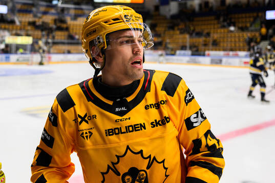 Skellefteås Andreas Johnson iinför shockeymatchen i SHL