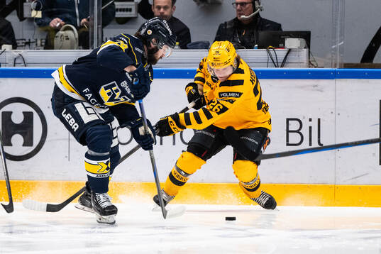 HV71s Sean Day och Skellefteås Anton Heikkinen