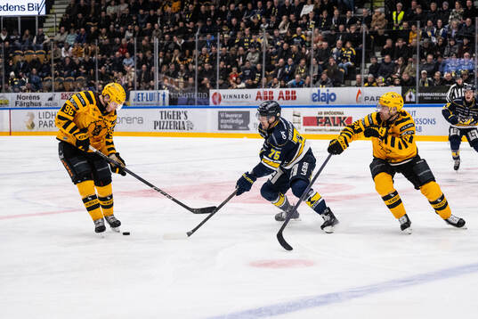 HV71s Radan Lenc och Skellefteås Rickard Hugg