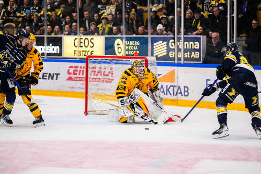 Skellefteås målvakt Linus Söderström