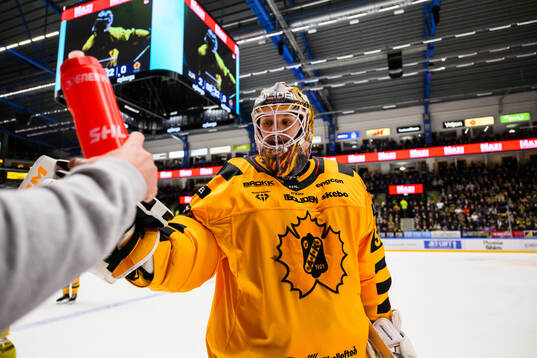 Skellefteås målvakt Linus Söderström