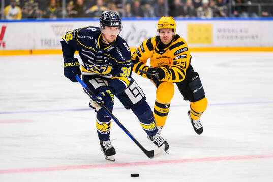 HV71s Olle Alsing och Skellefteås Oscar Lindberg