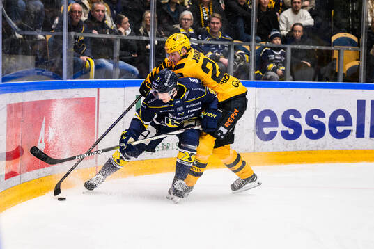 HV71s Hugo Pettersson och Skellefteås Jonathan Johnson