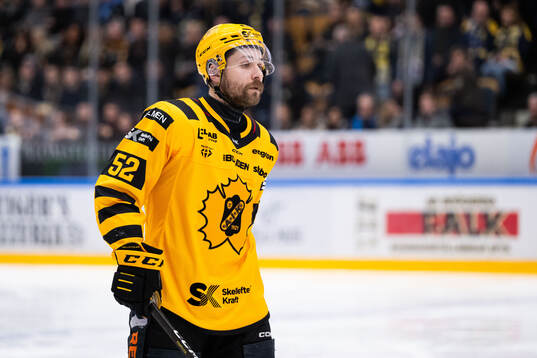 Skellefteås Arvid Lundberg deppar