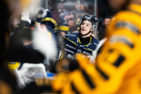 HV71s Oscar Fisker Molgaard jublar