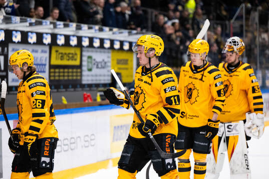 Skellefteås Max Lindholm deppar