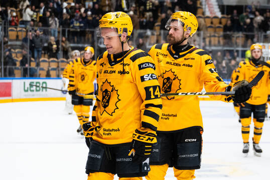 Skellefteås Andreas Johnson deppar