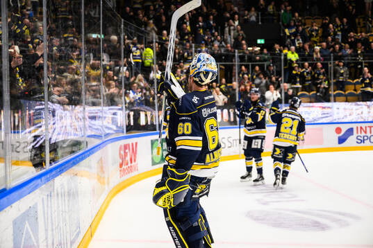 HV71s målvakt Hugo Alnefelt jublar