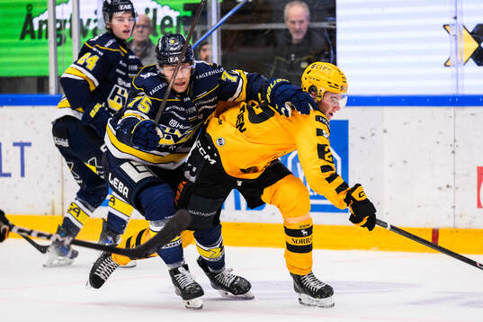 HV71s Radan Lenc och Skellefteås Pontus Johansson