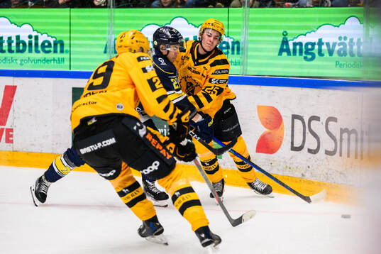 Skellefteås Hampus Karlsson och Pontus Johansson  och