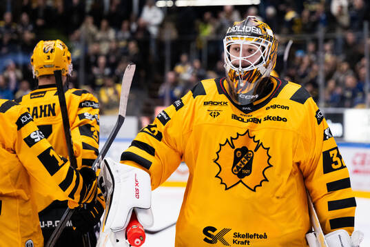 Skellefteås målvakt Linus Söderström deppar