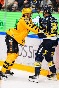 Skellefteås Pontus Johansson  och HV71s Jonathan Ang