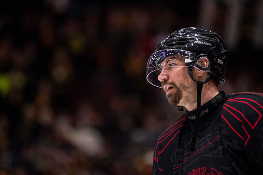 Brynäs Anton Rödin