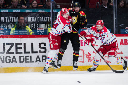 Timrås Sebastian Hartmann och Brynäs Anton Rödin och