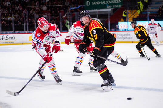 Timrås Erik Walli Walterholm och Brynäs Johan Larsson