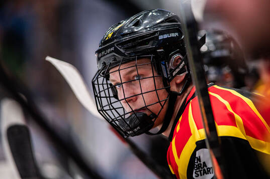 Brynäs Aron Dahlqvist