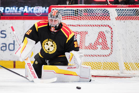Brynäs målvakt Ludvig Persson
