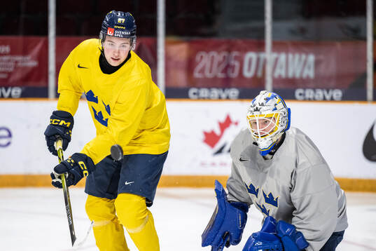 David Granberg and goaltender Melker Thelin of Sweden at a