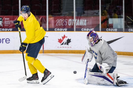 David Granberg and goaltender Melker Thelin of Sweden at a