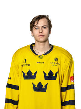Axel Hurtig of the Swedish under-20 national ice hockey