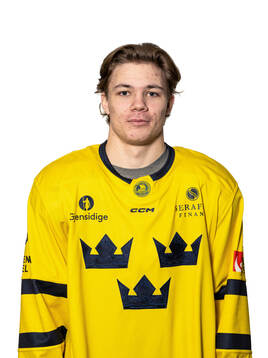 Anton Wahlberg of the Swedish under-20 national ice hockey