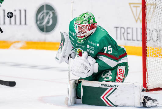 Under ishockeymatchen i SHL mellan Rögle och Leksand