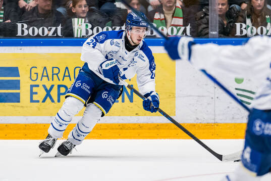 Leksands Arvid Eljas