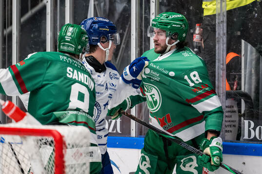 Leksands Lukas Vejdemo och Rögles Dennis Everberg