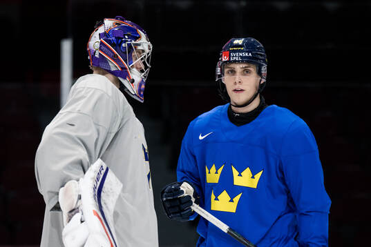 Goalkeeper Melvin Strahl and Noel Nordh of Sweden at a