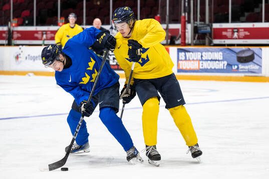 Felix Unger Sörum and Axel Sandin-Pellikka of Sweden at a