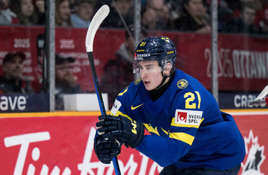 Herman Träff of Sweden celebrates