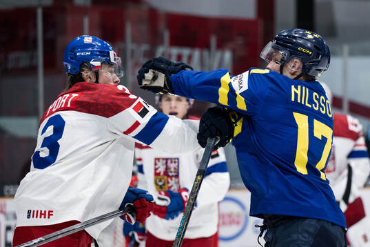 Vojtech Port of Czech Republic and Felix Nilsson of Sweden