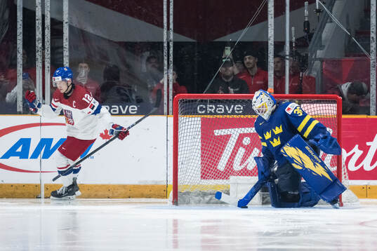 Eduard Sale of Czech Republic celebrates and Goalkeeper