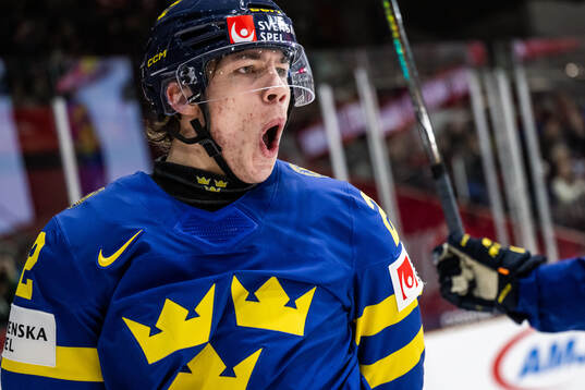 Anton Wahlberg of Sweden celebrates