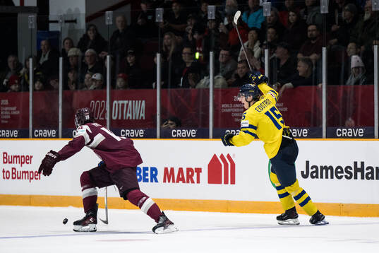David Edstrom of Sweden celebrates