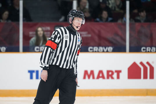 Referee Mikael Holm