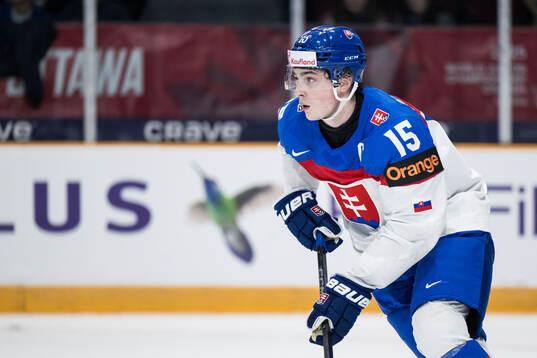 Dalibor Dvorsky of Slovakia