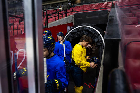 Dennis Altörn and Felix Unger Sörum of Sweden at a