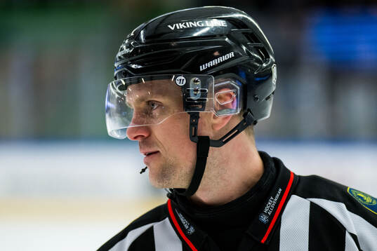 Domare Stefan Leijonklo