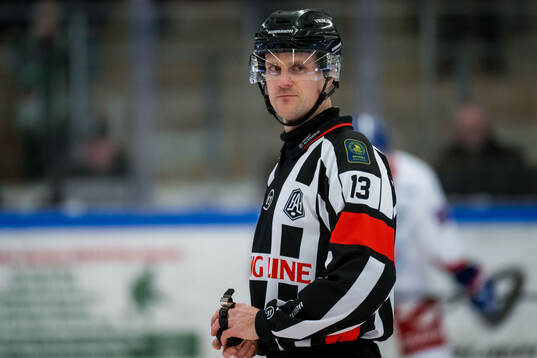 Domare Stefan Leijonklo