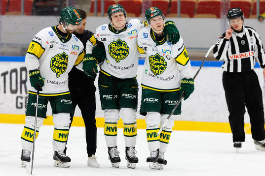 Björklövens Alfons Freij lämnar isen