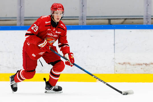 Almtunas Arvid Bergström