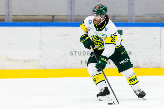 Björklövens Mathew Maione