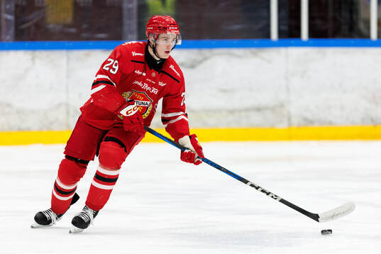 Almtunas Arvid Bergström